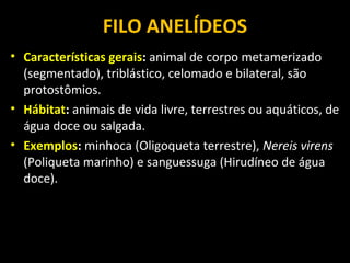 FILO ANELÍDEOS 
• Características gerais: animal de corpo metamerizado 
(segmentado), triblástico, celomado e bilateral, são 
protostômios. 
• Hábitat: animais de vida livre, terrestres ou aquáticos, de 
água doce ou salgada. 
• Exemplos: minhoca (Oligoqueta terrestre), Nereis virens 
(Poliqueta marinho) e sanguessuga (Hirudíneo de água 
doce). 
 