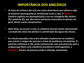 IMPORTÂNCIA DOS ANELÍDEOS 
• As fezes da minhoca são ricas em restos alimentares que sofrem a ação 
de bactérias decompositoras, fertilizando assim o solo. O húmus 
(matéria orgânica em decomposição) é rico em nitrogênio (N), fósforo 
(P) e potássio (K), que são macro-nutrientes necessários às plantas em 
geral, dentre outros componentes. 
• Além disto, ao escavar o solo, as minhocas formam túneis, favorecendo 
a aeração das raízes das plantas e a penetração das águas das chuvas. 
• Em séculos passados, elas eram utilizadas amplamente na medicina, 
para extrair o sangue das pessoas e tratar de problemas circulatórios. O 
paciente melhorava e não sentia nenhuma dor com este processo, pois a 
sanguessuga libera uma substância anestésica e anticoagulante, a 
hirudina. Porém, tal processo ainda é utilizado, atualmente. 
 