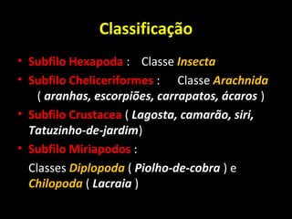 Classificação 
• Subfilo Hexapoda : Classe Insecta 
• Subfilo Cheliceriformes : Classe Arachnida 
( aranhas, escorpiões, carrapatos, ácaros ) 
• Subfilo Crustacea ( Lagosta, camarão, siri, 
Tatuzinho-de-jardim) 
• Subfilo Miriapodos : 
Classes Diplopoda ( Piolho-de-cobra ) e 
Chilopoda ( Lacraia ) 
 