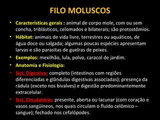 FILO MOLUSCOS 
• Características gerais : animal de corpo mole, com ou sem 
concha, triblásticos, celomados e bilaterais; são protostômios. 
• Hábitat: animais de vida livre, terrestres ou aquáticos, de 
água doce ou salgada; algumas poucas espécies apresentam 
larvas e são parasitas de guelras de peixes. 
• Exemplos: mexilhão, lula, polvo, caracol de jardim. 
• Anatomia e Fisiologia: 
• Sist. Digestivo: completo (intestinos com regiões 
diferenciadas e glândulas digestivas associadas); presença da 
rádula (exceto nos bivalves) e digestão predominantemente 
extracelular. 
• Sist. Circulatório: presente, aberta ou lacunar (com coração e 
vasos sangüineos, nos quais circulam o fluido celômico – 
sangue); fechado nos cefalópodes. 
 