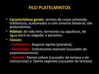 FILO PLATELMINTOS
• Características gerais: vermes de corpo achatado,
triblásticos, acelomados e com simetria bilateral; são
protostômios.
• Hábitat: de vida livre, terrestres ou aquáticos, de
água doce ou salgada; e parasitas.
• Classes:
- Turbellaria : Dugesia tigrina (planária);
- Trematoda : Schistosoma mansoni (causador da
esquistossomose);
- Cestoda :Taenia solium (causador da teníase e da
cisticercose) e Taenia saginata (causador da teníase).

 