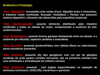 Anatomia e Fisiologia:
•Sist. Digestório: incompleto (não existe ânus); digestão extra e intracelular,
e intestino muito ramificado. Exceção: Cestódeos ( Tênias) não possuem
sistema digestório ( alimento são absorvidos pela superfície corpórea)

•Sist.

Cardiovascular:

ausente (alimento distribuído pelo intestino
ramificado a todas as células do corpo, compensando a ausência do sist.
cardiovascular).

•Sist. Respiratório: ausente (trocas gasosas diretamente entre as celulas. e o
ambiente por difusão); espécies aeróbias e anaeróbias.

•Sist. Excretor: presente (protonefridios com células.-flama ou solenócitos);
poros excretores presentes.

•Sist. Nervoso: presente (do tipo ganglionar com um par de gânglios
cerebrais de onde partem cordões nervosos); são os primeiros animais com
uma cefalização e centralização do sistema nervoso.

•Sist. Sensorial: presente , com órgãos especializados na captação de
estímulos luminosos ( OCELOS), mecânicos e químicos.

 