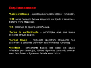 Esquistossomose:
•Agente etiológico – Schistosoma mansoni (classe Trematoda).
•H.D. seres humanos (vasos sanguíneo do fígado e intestino –
Sistema Porta-Hepático).
•H.I. caramujo do gênero Biomphalaria .
•Forma de contaminação – penetração ativa das larvas
cercárias através da pele.
•Formas larvais – miracídios (penetram ativamente nos
caramujos) e cercárias (penetram ativamente nos humanos).
•Profilaxia – saneamento básico, não nadar em águas
infestadas por caramujos, hábitos higiênicos como não defecar
ao ar livre, ferver a água a ser bebida, entre outros.

 