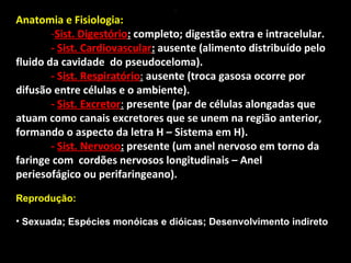 .

Anatomia e Fisiologia:
-Sist. Digestório: completo; digestão extra e intracelular.
- Sist. Cardiovascular: ausente (alimento distribuído pelo
fluido da cavidade do pseudoceloma).
- Sist. Respiratório: ausente (troca gasosa ocorre por
difusão entre células e o ambiente).
- Sist. Excretor: presente (par de células alongadas que
atuam como canais excretores que se unem na região anterior,
formando o aspecto da letra H – Sistema em H).
- Sist. Nervoso: presente (um anel nervoso em torno da
faringe com cordões nervosos longitudinais – Anel
periesofágico ou perifaringeano).
Reprodução:
• Sexuada; Espécies monóicas e dióicas; Desenvolvimento indireto

 