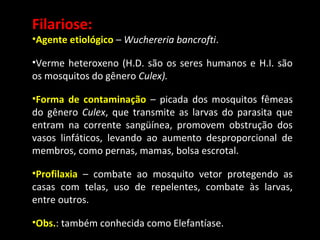 Filariose:

•Agente etiológico – Wuchereria bancrofti.
•Verme heteroxeno (H.D. são os seres humanos e H.I. são
os mosquitos do gênero Culex).
•Forma de contaminação – picada dos mosquitos fêmeas
do gênero Culex, que transmite as larvas do parasita que
entram na corrente sangüínea, promovem obstrução dos
vasos linfáticos, levando ao aumento desproporcional de
membros, como pernas, mamas, bolsa escrotal.
•Profilaxia – combate ao mosquito vetor protegendo as
casas com telas, uso de repelentes, combate às larvas,
entre outros.
•Obs.: também conhecida como Elefantíase.

 