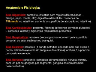 Anatomia e Fisiologia:
Sist. Digestório: completo (intestino com regiões diferenciadas –
faringe, papo, moela, etc); digestão extracelular. Presença de
Tiflossole no intestino ( aumenta a superfície de absorção no intestino).
Sist. Cardiovascular: presente, fechado (presença de vasos pulsáteis
– corações laterais); pigmentos respiratórios presentes.
Sist. Respiratório: ausente (trocas gasosas ocorrem pela superfície
corporal, ou seja, cutânea) ou branquial.
Sist. Excretor: presente (1 par de nefrídios em cada anel que divide o
corpo, retirando excretas do sangue e do celoma); amônia é o principal
composto excretado.
Sist. Nervoso: presente (composto por uma cadeia nervosa ventral,
com um par de gânglios por segmento; gânglios cerebróides bem
desenvolvidos).

 