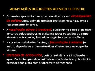ADAPTAÇÕES DOS INSETOS AO MEIO TERRESTRE
• Os insetos apresentam o corpo revestido por um exoesqueleto
de quitina, que, além de fornecer proteção mecânica, evita o
ressecamento do corpo.
• A respiração aérea é traqueal, que permite que o ar penetre
no corpo pelos espiráculos e alcance todos os tecidos do corpo
através das traquéias, levando o oxigênio a todas as células.
• Na grande maioria dos insetos, a fecundação é interna (o
macho deposita os espermatozóides diretamente no corpo da
fêmea).

• Excreção de ácido úrico, pois tal substância é insolúvel em

água. Portanto, quando o animal excreta ácido úrico, ele não irá
eliminar água junto com a tal excreta nitrogenada .

 