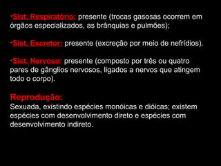 •Sist. Respiratório: presente (trocas gasosas ocorrem em
órgãos especializados, as brânquias e pulmões);
•Sist. Excretor: presente (excreção por meio de nefrídios).
•Sist. Nervoso: presente (composto por três ou quatro
pares de gânglios nervosos, ligados a nervos que atingem
todo o corpo).

Reprodução:
Sexuada, existindo espécies monóicas e dióicas; existem
espécies com desenvolvimento direto e espécies com
desenvolvimento indireto.

 