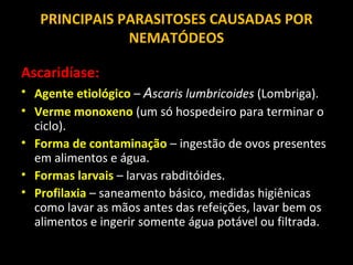 Larva migrans:
•Agente etiológico :
Ancylostoma braziliensis e Ancylostoma caninum (parasitas
intestinais de cães e gatos)...