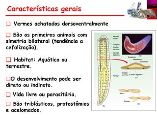 ❑ Vermes achatados dorsoventralmente
❑ São os primeiros animais com
simetria bilateral (tendência a
cefalização).
❑ Habitat: Aquático ou
terrestre.
❑O desenvolvimento pode ser
direto ou indireto.
❑ Vida livre ou parasitária.
❑ São triblásticos, protostômios
e acelomados.
Características gerais
 