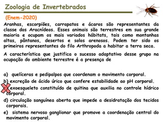 Aranhas, escorpiões, carrapatos e ácaros são representantes da
classe dos Aracnídeos. Esses animais são terrestres em sua grande
maioria e ocupam os mais variados hábitats, tais como montanhas
altas, pântanos, desertos e solos arenosos. Podem ter sido os
primeiros representantes do filo Arthropoda a habitar a terra seca.
A característica que justifica o sucesso adaptativo desse grupo na
ocupação do ambiente terrestre é a presença de
a) quelíceras e pedipalpos que coordenam o movimento corporal.
b) excreção de ácido úrico que confere estabilidade ao pH corporal.
c) exoesqueleto constituído de quitina que auxilia no controle hídrico
corporal.
d) circulação sanguínea aberta que impede a desidratação dos tecidos
corporais.
e) sistema nervoso ganglionar que promove a coordenação central do
movimento corporal.
Zoologia de Invertebrados
(Enem-2020)
 