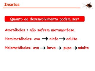 Insetos
Ametábolos : não sofrem metamorfose.
Hemimetábolos: ovo ninfa adulto
Holometábolos: ovo larva pupa adulto
Quanto ao desenvolvimento podem ser:
 