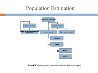 Population Estimation
Population estimation
Direct method Indirect method
Visual observation/capture
Of animal
Borrow count Foot tract analysis
Feeding
Living
Active
Inactive
D = n/A (D=density/km², n= no. of individuals, A=area surveyed)
 