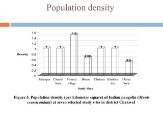 Population density
1 1
1.5
0.66
1 1
0.5
0
0.2
0.4
0.6
0.8
1
1.2
1.4
1.6
Density
Jabairpur Chumbi
Surla
Mureed
village
Bhaun Chakora Khokhar
Zer
Dhoke
Surla
Study Sites
Figure 3. Population density (per kilometer square) of Indian pangolin (Manis
crassicaudata) at seven selected study sites in district Chakwal
 