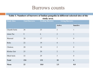 Burrows counts
Study Sites Total Burrows Feeding Burrows Living Burrows
Active Inactive
Chumbi Surla 26 23 2 1
Jubair Pur 9 6 2 1
Murreed 20 17 3 0
Bohn 22 19 4 1
Chokora 20 18 2 0
Khokar Zair 25 20 2 3
Dhok Surla 32 29 3 0
Total 154 132 18 6
Mean 22 18.8 2.5 0.8
Table 3. Numbers of burrows of Indian pangolin in different selected sites of the
study area.
 