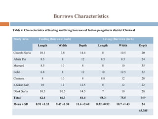 Burrows Characteristics
Study Area Feeding Burrows ( inch) Living (Burrows (inch)
Length Width Depth Length Width Depth
Chumbi Surla 10.1 7.8 14.4 8 10.5 20
Jubair Pur 8.5 8 12 8.5 8.5 24
Murreed 8.5 10 8 8 10 35
Bohn 6.8 8 12 10 12.5 32
Chokora 8 10 8 8.8 12 28
Khokar Zair 10 12 12.5 8 12 22
Dhok Surla 10.5 10.5 14.5 7 10 28
Total 62.4 66.3 81.4 58.3 75.5 169
Mean ± SD 8.91 ±1.33 9.47 ±1.58 11.6 ±2.68 8.32 ±0.92 10.7 ±1.43 24
±5.385
Table 4. Characterisitcs of feeding and living burrows of Indian pangolin in district Chakwal
 
