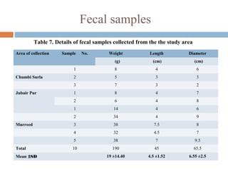 Fecal samples
Area of collection Sample No. Weight Length Diameter
(g) (cm) (cm)
1 8 4 6
Chumbi Surla 2 5 3 3
3 7 3 2
Jubair Pur 1 8 4 7
2 6 4 8
1 14 4 6
2 34 4 9
Murreed 3 38 7.5 8
4 32 4.5 7
  5 38 7 9.5
Total 10 190 45 65.5
Mean ±SD   19 ±14.40 4.5 ±1.52 6.55 ±2.5
Table 7. Details of fecal samples collected from the the study area
 