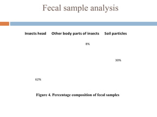Fecal sample analysis
Figure 4. Percentage composition of fecal samples
8%
62%
30%
Insects head Other body parts of insects Soil particles
 