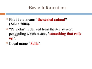 Basic Information
 Pholidota means"the scaled animal"
(Atkin,2004).
 “Pangolin" is derived from the Malay word
pengguling which means, "something that rolls
up".
 Local name "Salla”
 