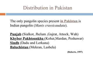 Distribution in Pakistan
The only pangolin species present in Pakistan is
Indian pangolin (Manis crassicaudata).
Punjab (Sialkot, Jhelum ,Gujrat, Attock, Wah)
Khyber Pakhtoonkha (Kohat,Mardan, Peshawar)
Sindh (Dadu and Lerkana)
Baluchistan (Mekran, Lasbela)
(Roberts, 1997)
 