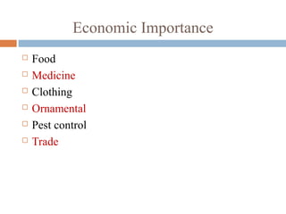 Economic Importance
 Food
 Medicine
 Clothing
 Ornamental
 Pest control
 Trade
 