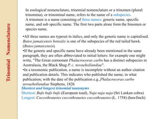 TrinomialNomenclature In zoological nomenclature, trinomial nomenclature or a trinomen (plural:
trinomina), or trinominal name, refers to the name of a subspecies.
A trinomen is a name consisting of three names: generic name, specific
name, and sub specific name. The first two parts alone form the binomen or
species name.
•All three names are typeset in italics, and only the generic name is capitalised.
Buteo jamaicensis borealis is one of the subspecies of the red tailed hawk.
(Buteo jamaicensis).
•If the generic and specific name have already been mentioned in the same
paragraph, they are often abbreviated to initial letters: for example one might
write, "The Great cormorant Phalacrocorax carbo has a distinct subspecies in
Australasia, the Black Shag P. c. novaehollandiae".
•In a taxonomic publication, a name is incomplete without an author citation
and publication details. This indicates who published the name; in what
publication; with the date of the publication e.g.,Phalacrocorax carbo
novaehollandiae Stephens, 1826
Shortest and longest trinomial tautonyms
Shortest: Bufo bufo bufo (European toad), Naja naja naja (Sri Lankan cobra)
Longest: Coccothraustes coccothraustes coccothraustes (L. 1758) (hawfinch)
 