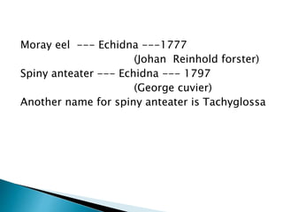 Moray eel --- Echidna ---1777
(Johan Reinhold forster)
Spiny anteater --- Echidna --- 1797
(George cuvier)
Another name for spiny anteater is Tachyglossa
 