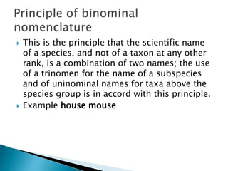  This is the principle that the scientific name
of a species, and not of a taxon at any other
rank, is a combination of two names; the use
of a trinomen for the name of a subspecies
and of uninominal names for taxa above the
species group is in accord with this principle.
 Example house mouse
 