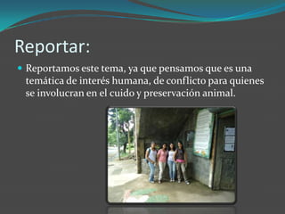 Reportar:Reportamos este tema, ya que pensamos que es una temática de interés humana, de conflicto para quienes se involucran en el cuido y preservación animal.