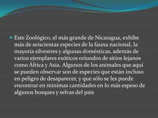Este Zoológico, el más grande de Nicaragua, exhibe más de seiscientas especies de la fauna nacional, la mayoría silvestres y algunas domésticas, además de varios ejemplares exóticos oriundos de sitios lejanos como África y Asia. Algunos de los animales que aquí se pueden observar son de especies que están incluso en peligro de desaparecer, y que sólo se les puede encontrar en mínimas cantidades en lo más espeso de algunos bosques y selvas del país