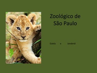 Zoológico de
São Paulo
Estela e Jandenê
 