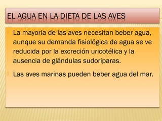  La mayoría de las aves necesitan beber agua,
aunque su demanda fisiológica de agua se ve
reducida por la excreción uricotélica y la
ausencia de glándulas sudoríparas.
 Las aves marinas pueden beber agua del mar.
 La mayoría de las aves necesitan beber agua,
aunque su demanda fisiológica de agua se ve
reducida por la excreción uricotélica y la
ausencia de glándulas sudoríparas.
 Las aves marinas pueden beber agua del mar.
 