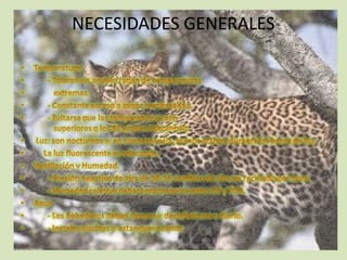 NECESIDADES GENERALES
 