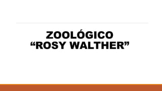 ZOOLÓGICO
“ROSY WALTHER”
 