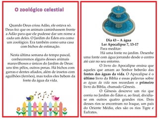 Dia 43 – A água
Ler Apocalipse 7, 13-17
Para meditar:
Há uma fonte no jardim. Desenhe
uma fonte com água jorrando desde o centro
até cair no seu entorno.
O livro do Apocalipse ensina que
aqueles que amam ao Senhor beberão das
fontes das águas da vida. O Apocalipse é o
último livro da Bíblia e essas palavras sobre
as águas da vida nos recordam o primeiro
livro da Bíblia, chamado Gênesis.
O Gênesis descreve um rio que
corria no Jardim do Éden e, ao final, dividia-
se em outros quatro grandes rios. Dois
desses rios se encontram no Iraque, um país
do Oriente Médio, eles são os rios Tigre e
Eufrates.
Quando Deus criou Adão, ele estava só.
Deus fez que os animais caminhassem frente
a Adão para que ele pudesse dar um nome a
cada um deles. O Jardim do Éden era como
um zoológico. Era também como uma casa
com bichos de estimação.
Nesta última semana do tempo pascal,
conheceremos alguns desses animais
maravilhosos e únicos do Jardim de Deus:
uns têm pêlos, outros penas. Há bichos com
garras e dentes afiados, além de insetos com
aguilhões (ferrões), mas todos eles bebem da
fonte da água da vida.
 