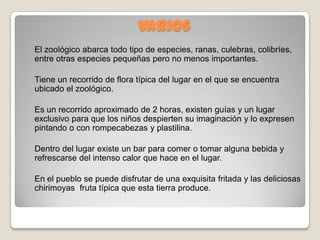 Varios
El zoológico abarca todo tipo de especies, ranas, culebras, colibríes,
entre otras especies pequeñas pero no menos importantes.
Tiene un recorrido de flora típica del lugar en el que se encuentra
ubicado el zoológico.
Es un recorrido aproximado de 2 horas, existen guías y un lugar
exclusivo para que los niños despierten su imaginación y lo expresen
pintando o con rompecabezas y plastilina.
Dentro del lugar existe un bar para comer o tomar alguna bebida y
refrescarse del intenso calor que hace en el lugar.
En el pueblo se puede disfrutar de una exquisita fritada y las deliciosas
chirimoyas fruta típica que esta tierra produce.
 