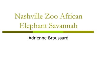 Nashville Zoo African
Elephant Savannah
Adrienne Broussard
 