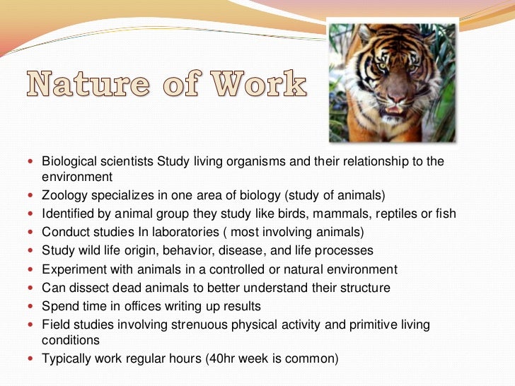 Zoologist