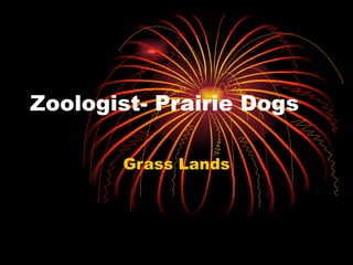 Zoologist- Prairie Dogs Grass Lands 
