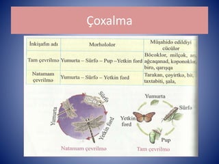 Çoxalma 
 