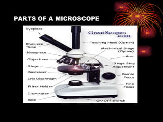 PARTS OF A MICROSCOPE 