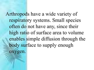 Arthropods have a wide variety of
respiratory systems. Small species
often do not have any, since their
high ratio of surface area to volume
enables simple diffusion through the
body surface to supply enough
oxygen.
 