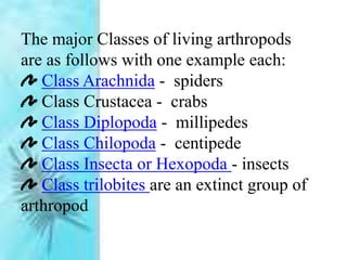 The major Classes of living arthropods
are as follows with one example each:
Class Arachnida - spiders
Class Crustacea - crabs
Class Diplopoda - millipedes
Class Chilopoda - centipede
Class Insecta or Hexopoda - insects
Class trilobites are an extinct group of
arthropod
 