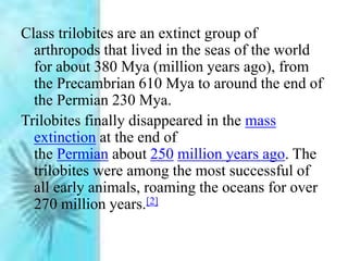 Class trilobites are an extinct group of
arthropods that lived in the seas of the world
for about 380 Mya (million years ago), from
the Precambrian 610 Mya to around the end of
the Permian 230 Mya.
Trilobites finally disappeared in the mass
extinction at the end of
the Permian about 250 million years ago. The
trilobites were among the most successful of
all early animals, roaming the oceans for over
270 million years.[2]
 
