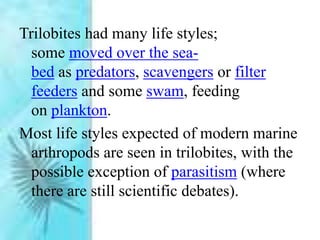Trilobites had many life styles;
some moved over the sea-
bed as predators, scavengers or filter
feeders and some swam, feeding
on plankton.
Most life styles expected of modern marine
arthropods are seen in trilobites, with the
possible exception of parasitism (where
there are still scientific debates).
 