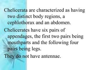 Chelicerata are characterized as having
two distinct body regions, a
cephlothorax and an abdomen.
Chelicerates have six pairs of
appendages, the first two pairs being
mouthparts and the following four
pairs being legs.
They do not have antennae.
 