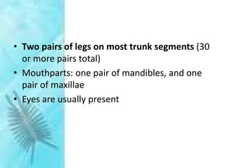 • Two pairs of legs on most trunk segments (30
or more pairs total)
• Mouthparts: one pair of mandibles, and one
pair of maxillae
• Eyes are usually present
 