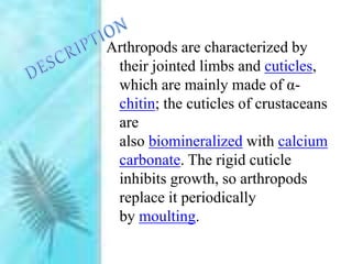 Arthropods are characterized by
their jointed limbs and cuticles,
which are mainly made of α-
chitin; the cuticles of crustaceans
are
also biomineralized with calcium
carbonate. The rigid cuticle
inhibits growth, so arthropods
replace it periodically
by moulting.
 