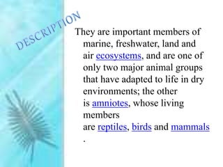 They are important members of
marine, freshwater, land and
air ecosystems, and are one of
only two major animal groups
that have adapted to life in dry
environments; the other
is amniotes, whose living
members
are reptiles, birds and mammals
.
 