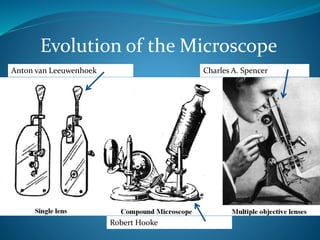 History Of Microscope Zoology | PPTX